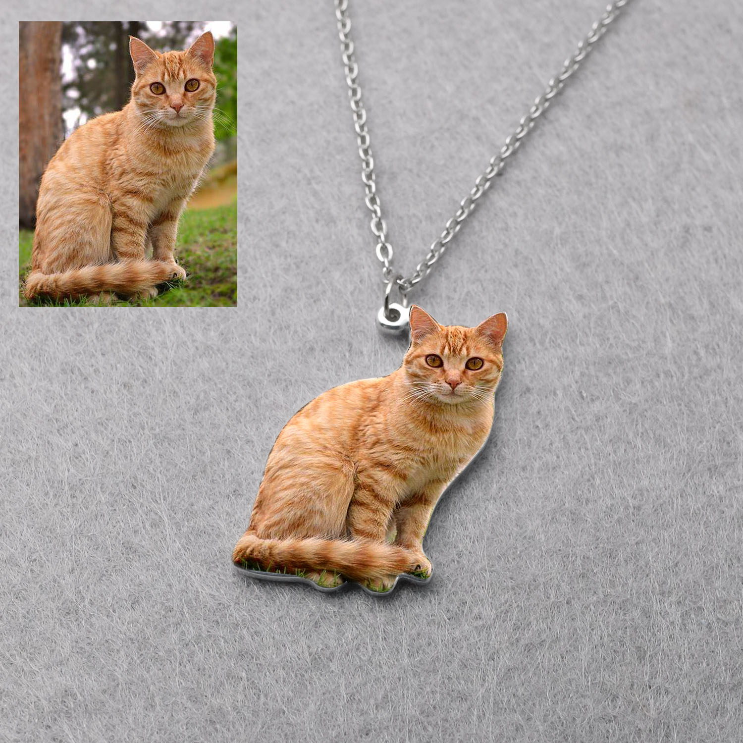 Personalisierte Haustier-Bildk – Pet Portrait Custom Bewertung und Preis