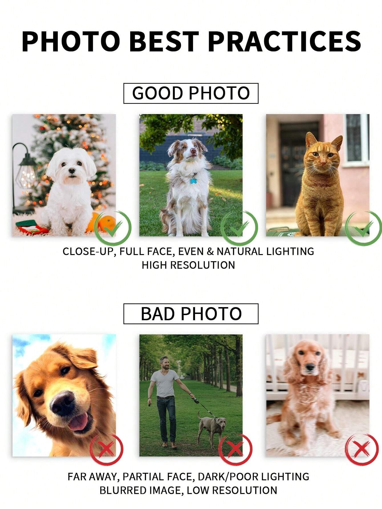 Personalisierter Aquarell-Haus – Pet Portrait Custom Bewertung und Preis